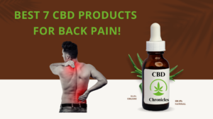 Read more about the article Best 7 CBD Products for Back Pain Relief in 2024!