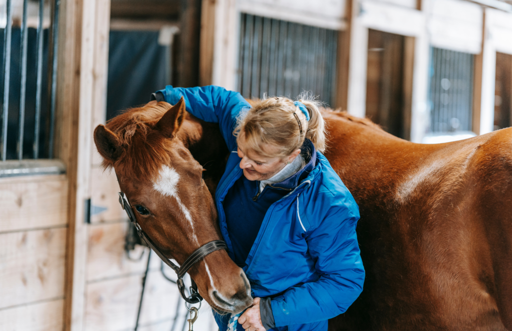 cbd for horses