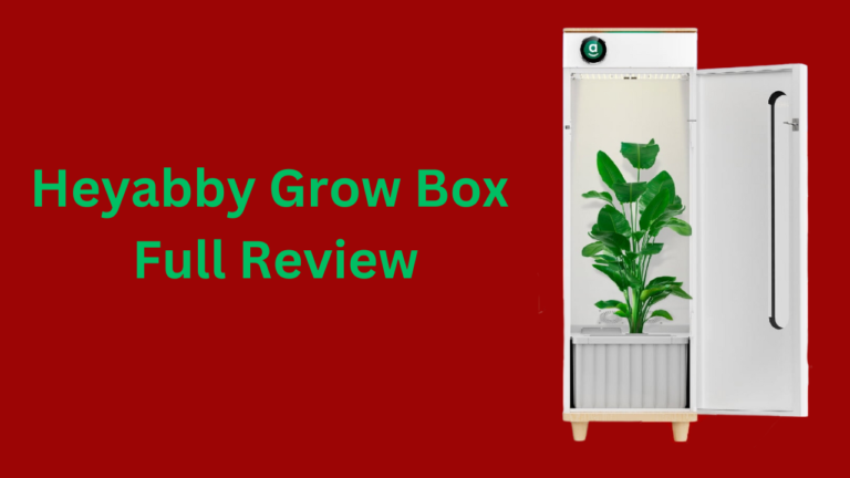 Hey Abby grow box