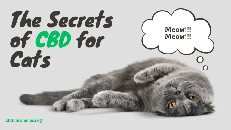 the secrets of cbd for cats